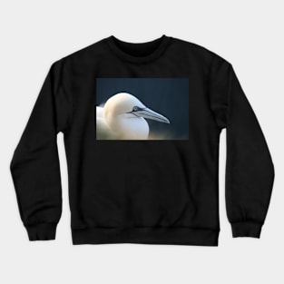 Gannet Crewneck Sweatshirt